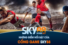 Sky88 Net: Nhà Cái Cá Cược Hàng Đầu Tại Việt Nam